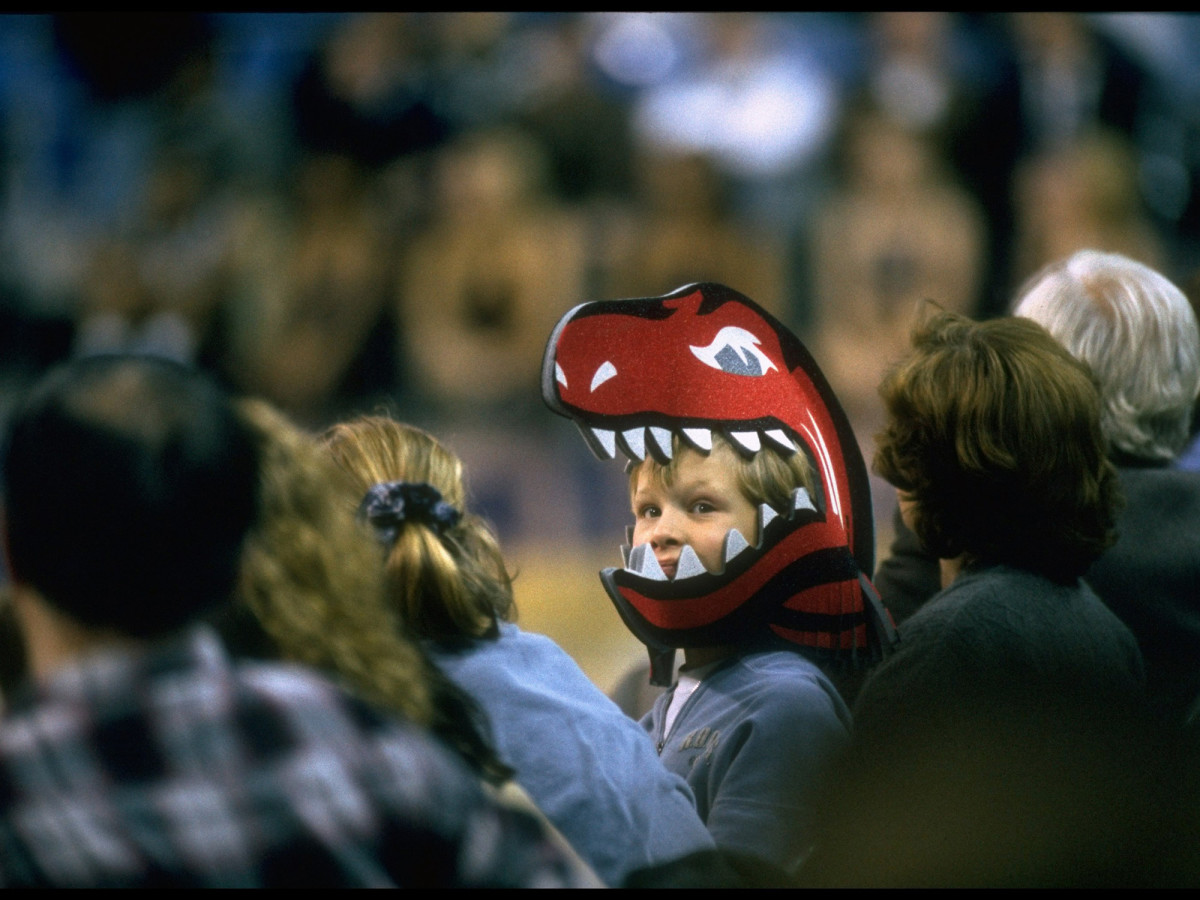 toronto-raptors-fan.jpg